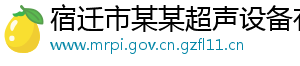 宿迁市某某超声设备有限公司